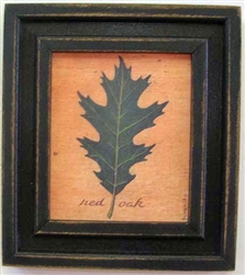 Red Oak Leaf Framed Print by Bonnie Wolfe