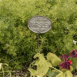 Parsley Herb Garden Stake by Ragon House