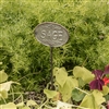 Sage Herb Garden Stake