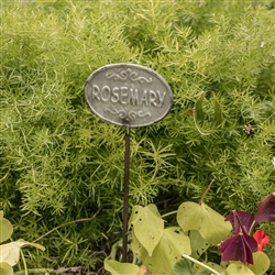 Rosemary Herb Garden Stake by Ragon House