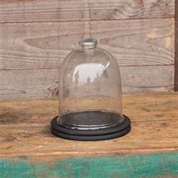 Large Glass Cloche with Black Wood Base 10"