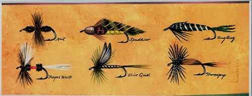 Six Antique Trout Flies Framed Print by Bonnie Wolfe