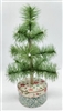 9" Miniature Feather Tree - Pistachio Stiff Feathers - 3 Rows - Paper Mache Box - Berries