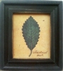 Chestnut Oak Framed Print by Bonnie Wolfe