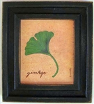 Ginkgo Framed Print by Bonnie Wolfe