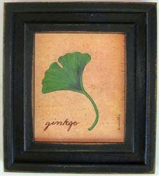 Ginkgo Framed Print by Bonnie Wolfe