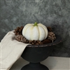 White Pumpkin - Fall Decoration