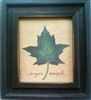 Sugar Maple Leaf Framed Print by Bonnie Wolfe