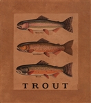 Three Trout Framed Print by Bonnie Wolfe