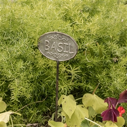 Basil Herb Garden Stake by Ragon House