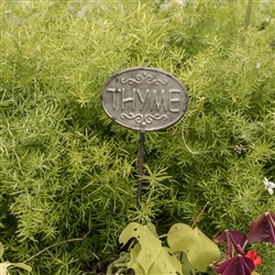 Thyme Herb Garden Stake by Ragon House